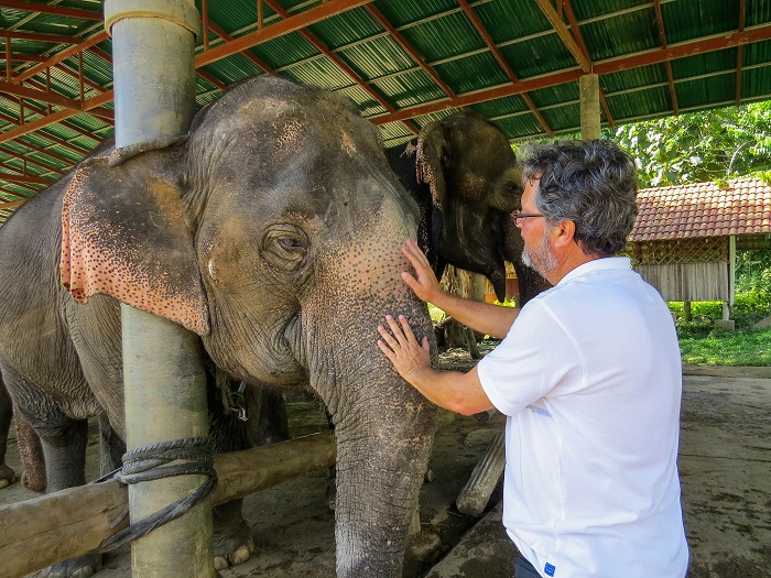 João Miguel e um elefante, em Chiang Mai, Tailândia