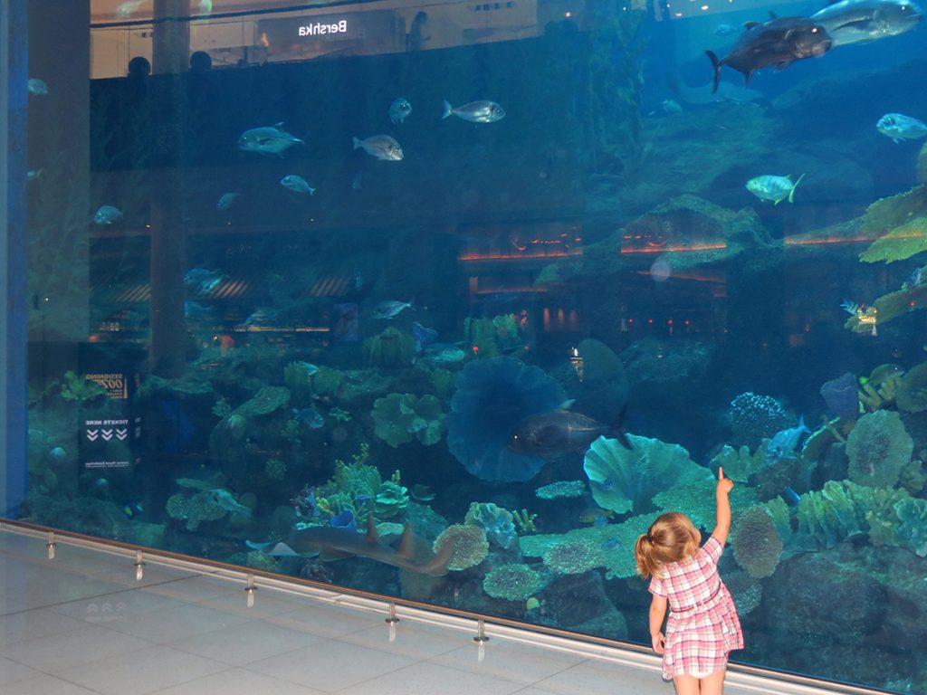 aquário no Dubai Mall em Dubai, Emirados Árabes