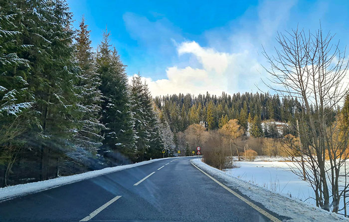 estrada de pinheiros e neve. na Romênia