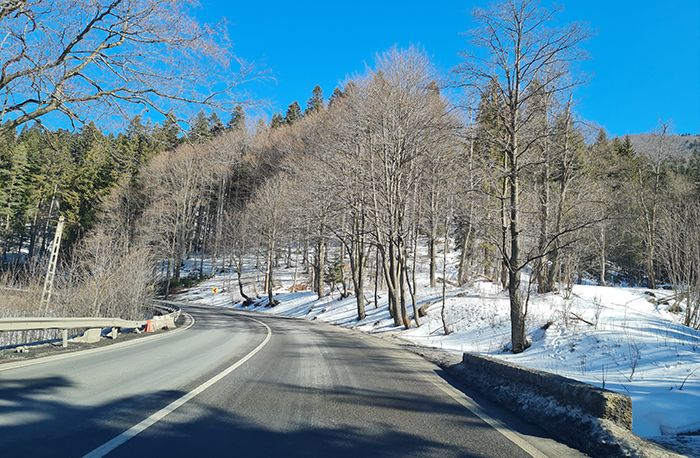 a rodovia para Brasov e a neve sobre os pinheiros - Romênia