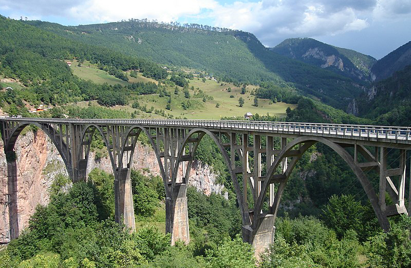 Ponte do Rio Tara