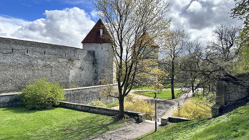 Muralhas e torres de Tallinn