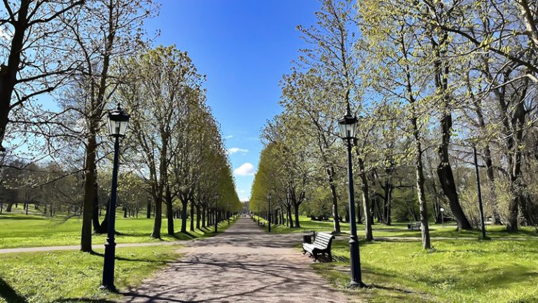 Parque Kadriog