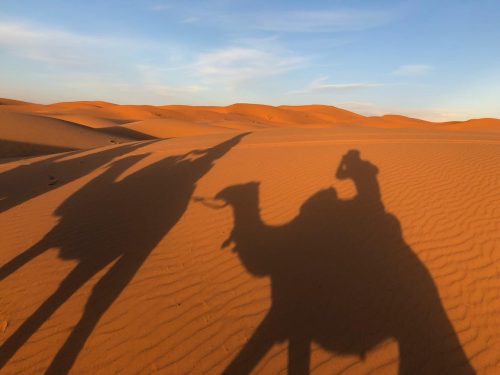 De camelo, pelo deserto do Saara, no Marrocos