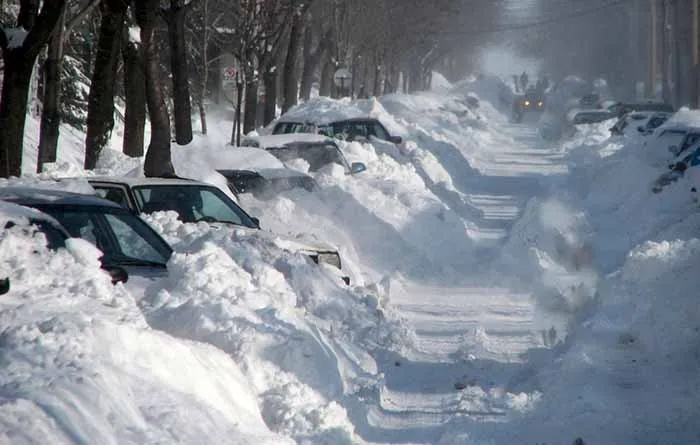 A neve sobre os carros No inverno, a neve cai sem dó.