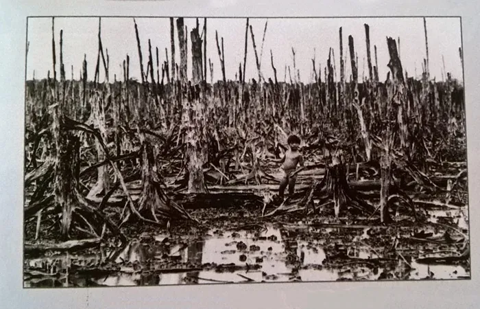 Foto no Museu dos Vestígios de Guerra, em Ho Chi Minh, Vietnam Museu dos Vestígios de Guerra - florestas