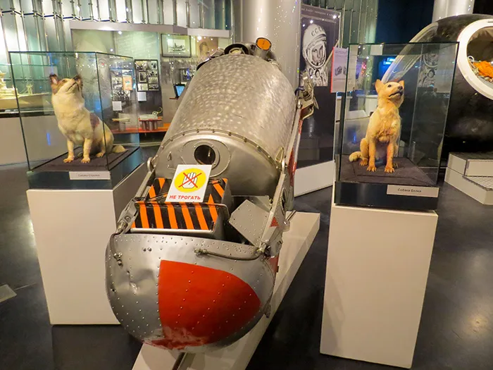 Belka, Strelka e o veículo que as levou e as trouxe, do espaço, no Museu da Cosmonáutica, em Moscou, Rússia. Belka, Strelka e o veículo que as levou e as trouxe, do espaço, no Museu da Cosmonáutica, em Moscou, Rússia.