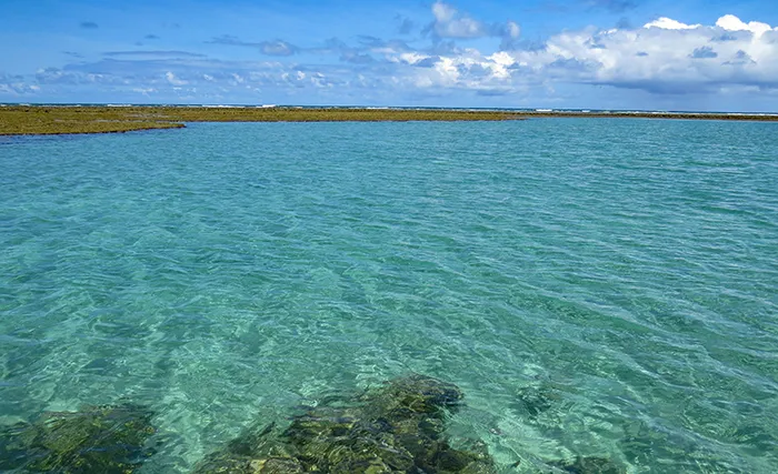 a Transparência do mar de Porto de Galinhas, em Pernambuco Mar de Maracaípe, Pernambuco