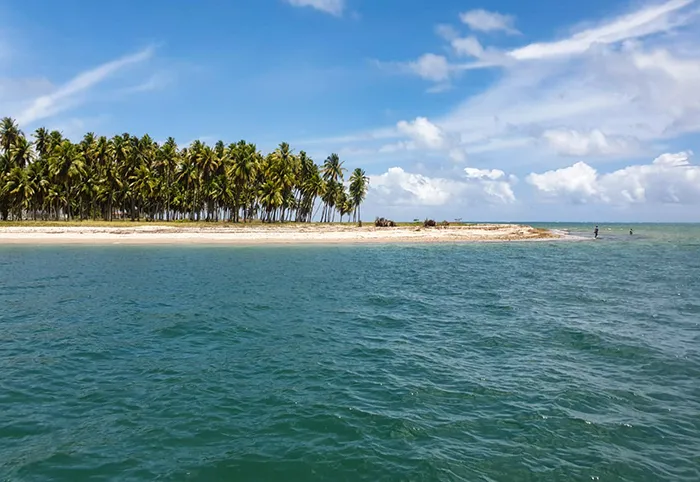 Uma ilha deserta na Praia dos Carneiros, em Tamandaré, Pernambuco Coqueiral na Praia de Carneiros