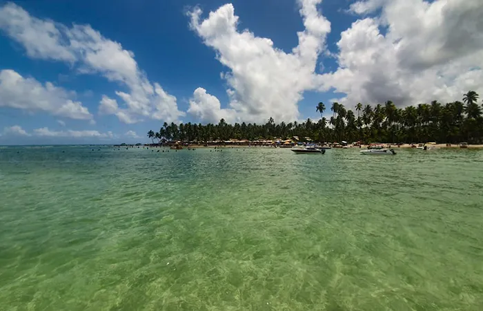 A transparência da água da Praia dos Carneiros, em Tamandaré, Pernambuco Bora Bora, na Praia de Carneiros