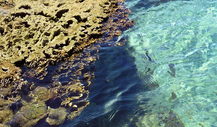o mar transparente de Porto de Galinhas, em Pernambuco Praias-de-Pernambuco-Maracaípe