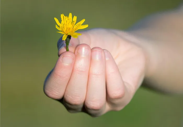 100 melhores frases motivacionais para inspirar a sua jornada de vida 8 Frases motivacionais gratidao
