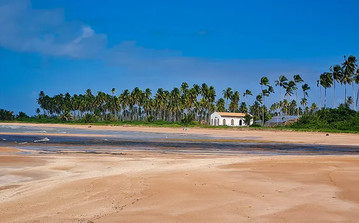  Coqueiral e a Capela dos Milagres, na Praia de São Miguel dos Milagres, Alagoas