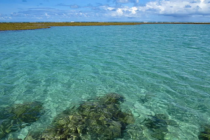 Piscina natural da Rota Ecológica dos Milagres, em Alagoas