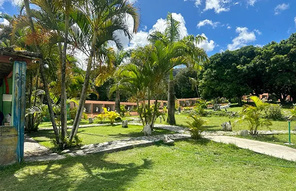 A área verde e o cativeiro no Parque dos Gaviões, em Itabaiana, Sergipe A área verde do santuário